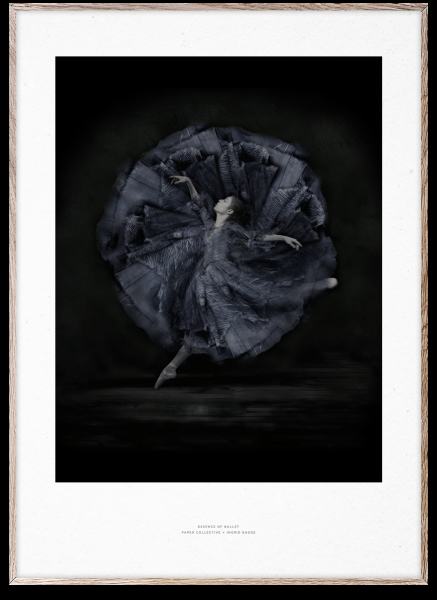 Plakat 'Essenz des Balletts 06' 50x70 cm - Schwarz / Weiß