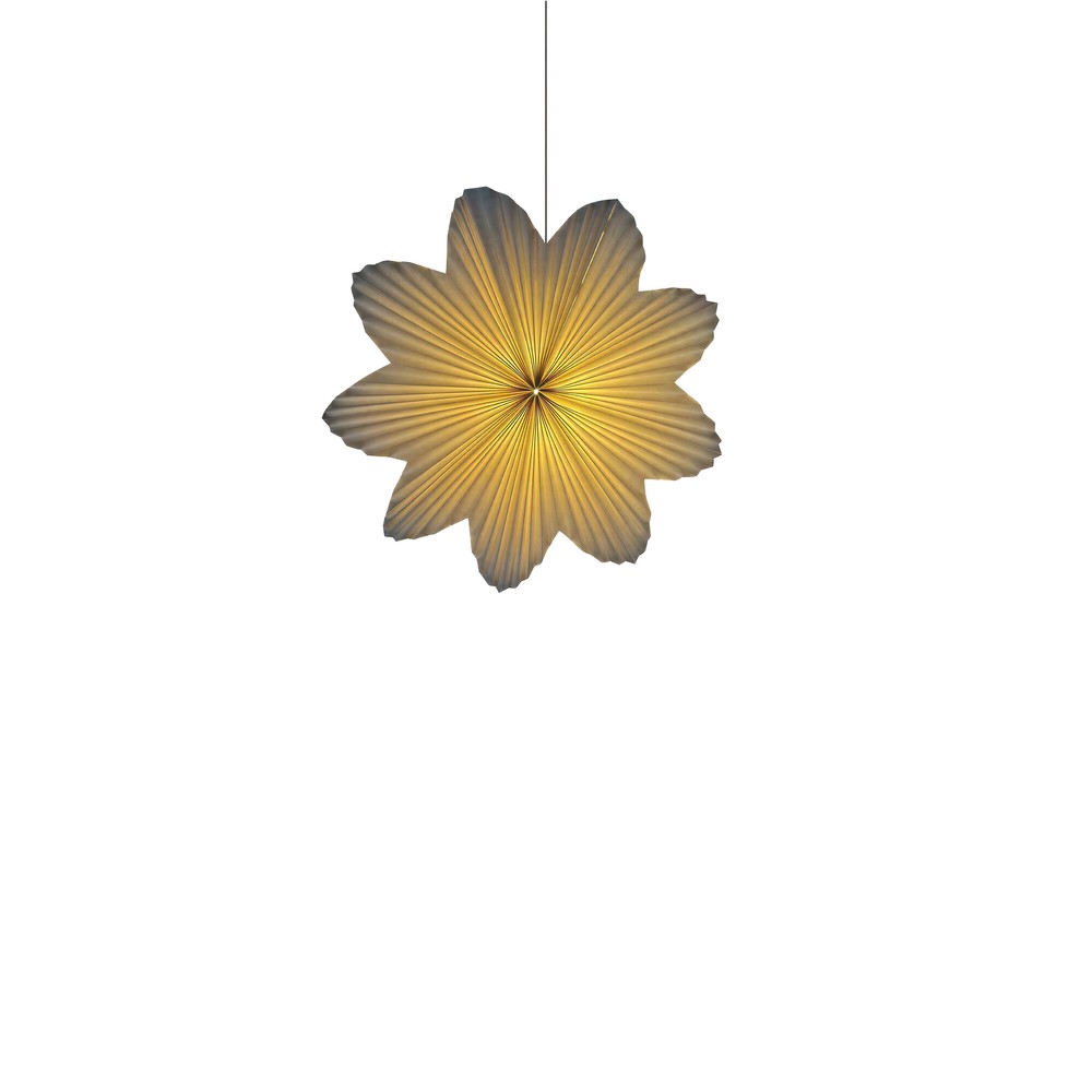 Adventsstern 'Daisy' 60cm - Weiß