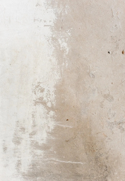 Wilton-Teppich 'Bornos' 240x340cm – Grau/Beige