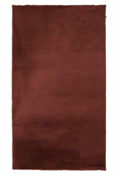 Teppich 'Ninha' 80x140 - Braun