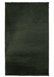 Teppich 'Ninha' 80x140 - Grün