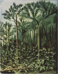 Wandverkleidung 'Botanic' 100x127 - Grün
