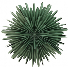 Adventsstern 'Svedala' 80cm - Grün