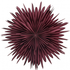 Adventsstern 'Svedala' 80cm - Rot