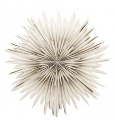 Adventsstern 'Svedala' 100cm - Beige