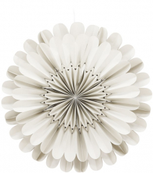 Adventsstern 'Mora' - Beige