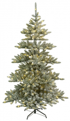 Weihnachtsbaum 'Arvika Belysning' - Grün