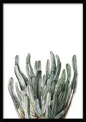 Leinwandposter L - Tropische Pflanze 9