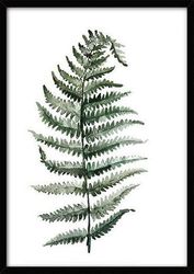 Leinwandposter L - Tropische Pflanze 10