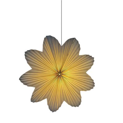 Adventsstern 'Daisy' 60cm - Weiß