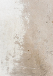 Wilton-Teppich 'Bornos' 240x340cm – Grau/Beige