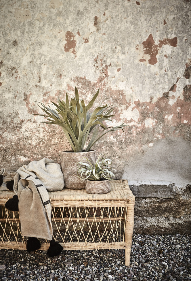 Couchtisch 'Tribe' - Natur