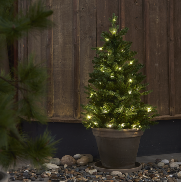 Weihnachtsbaum 'Byske Belysning' - Grün