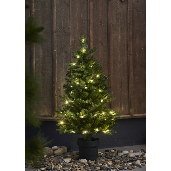Weihnachtsbaum 'Byske Belysning' - Grün