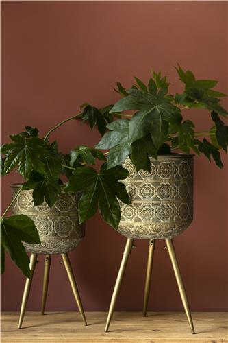 Topf 'Botanique' M - Messing