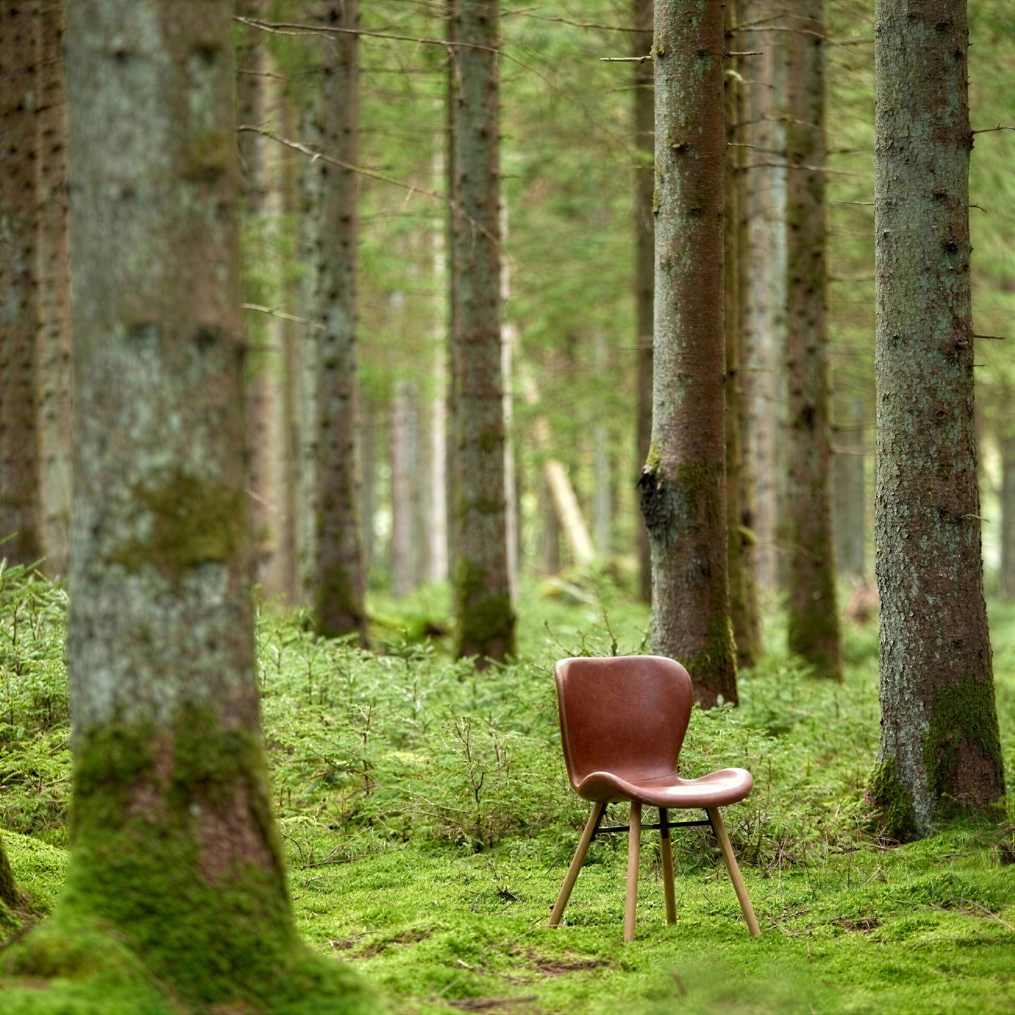 Stuhl 'Böda' - Natur/Braun