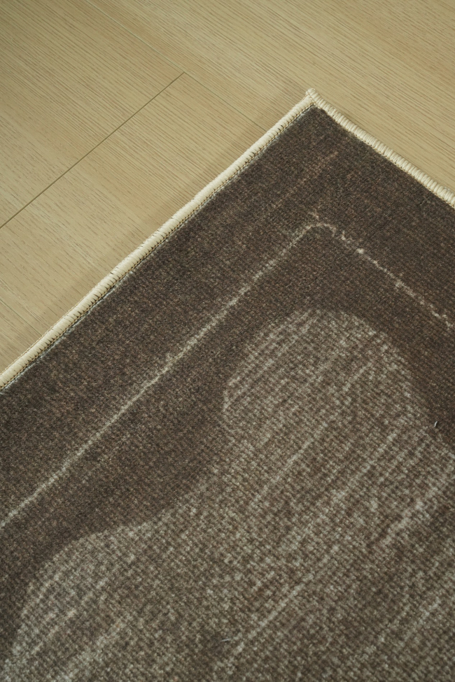 Teppich 'Lunelle' - Braun