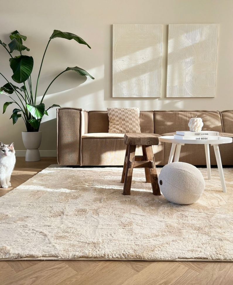 Hochflorteppich 'Aranga Super Soft' 80x160cm - Beige