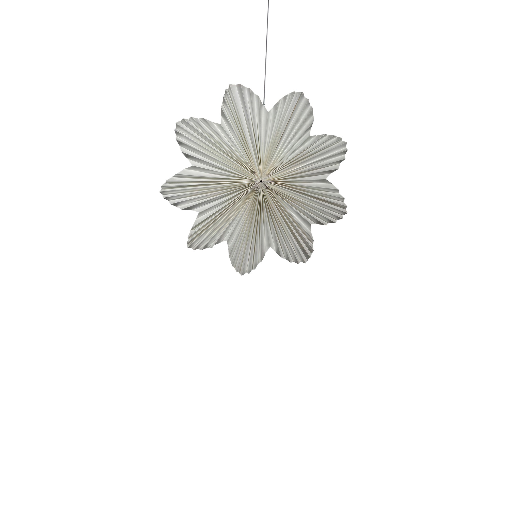 Adventsstern 'Daisy' 60cm - Weiß