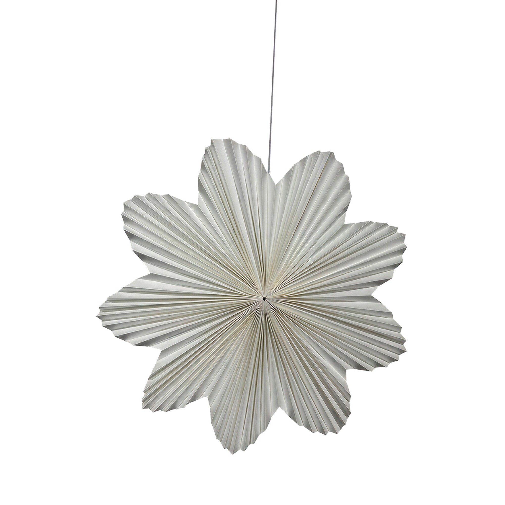 Adventsstern 'Daisy' 60cm - Weiß