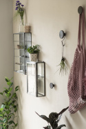 Wandschrank 4 Regale - Glas / Eisen