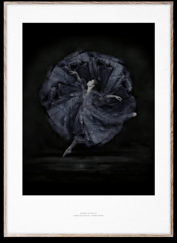 Plakat \'Essenz des Balletts 06\' 50x70 cm - Schwarz / Wei