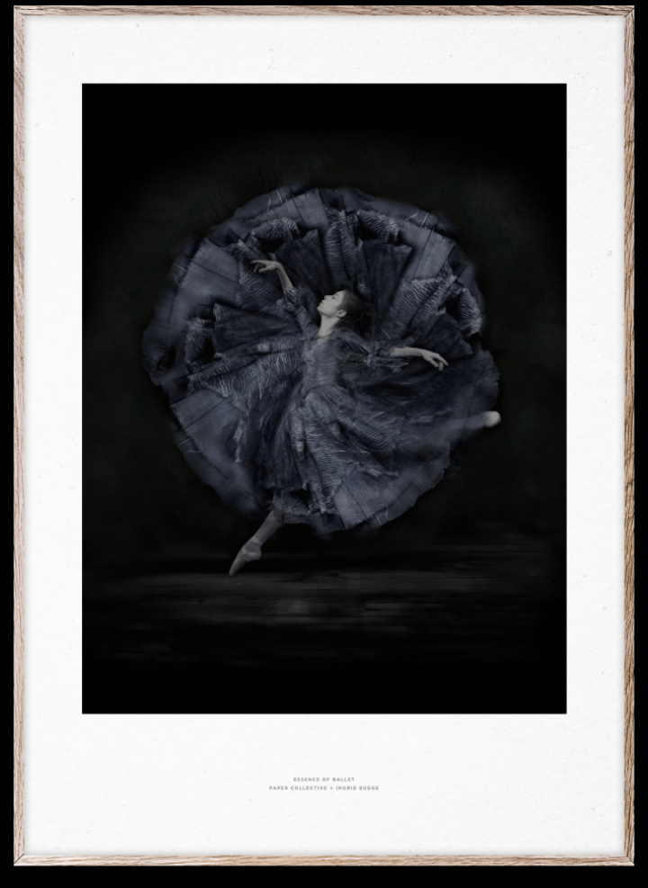 Plakat 'Essenz des Balletts 06' 50x70 cm - Schwarz / Wei