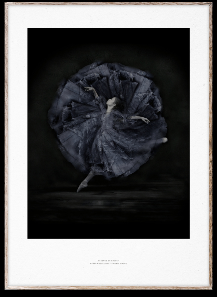 Plakat 'Essenz des Balletts 06' 50x70 cm - Schwarz / Weiß