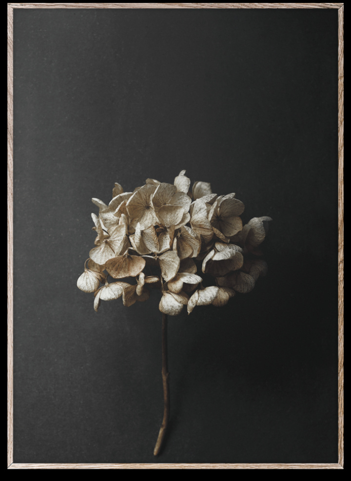 Plakat 'Stillleben 70x100' - Multi