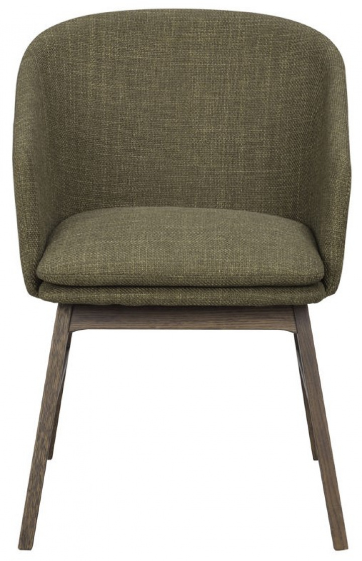 Sessel \'Windham\' - Grün/Braun in der Gruppe Möbel / Stühle und Polstermöbel / Stühle bei Reforma (120662)