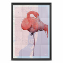 Poster - Der Flamingo