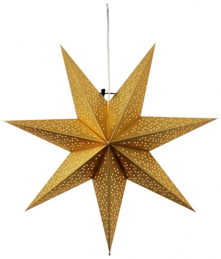 Weihnachtsstern 'Dot'  54 - Gold