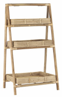 Regal \'Unique\' - Rattan