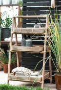 Regal \'Unique\' - Rattan