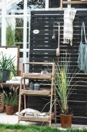 Regal \'Unique\' - Rattan