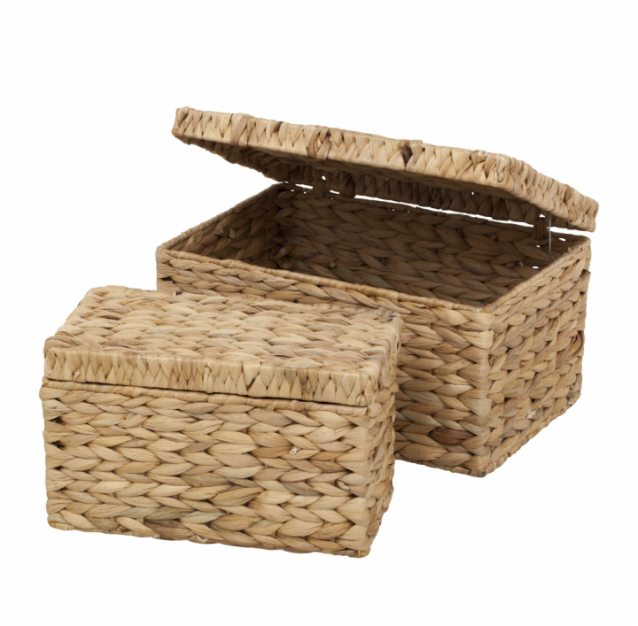 Aufbewahrungsboxen mit Deckel - 2 Stk