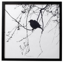Tafel - Vogel