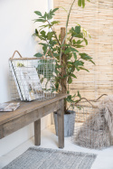 Vintage-Bank - Holz