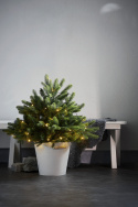 Weihnachtsbaum \'Busk Belysning\' - Grün