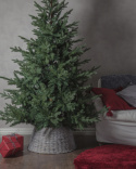 Weihnachtsbaum \'Brekstad\' - Grün