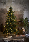 Weihnachtsbaum \'Larvik Belysning\' - Grün