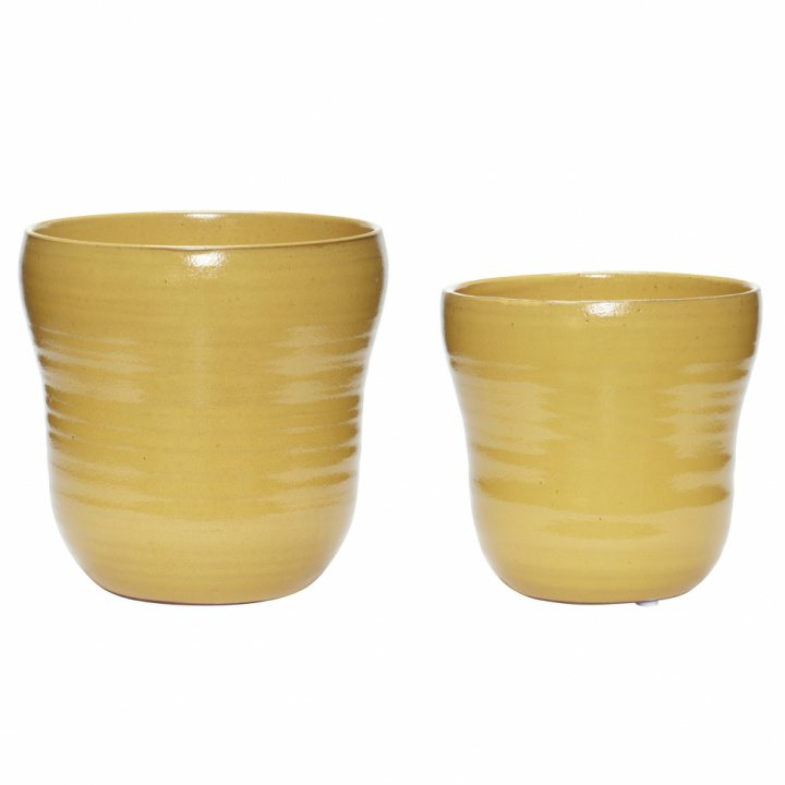 Topf 2 Stück - Gelb