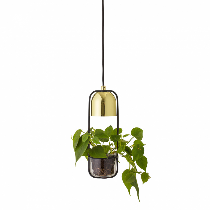 Deckenlampe \'Gullak\' - Gold in der Gruppe BELEUCHTUNG / Deckenleuchten bei Reforma (68801022)