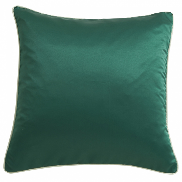 Kissenbezug 'AIN' - Grün