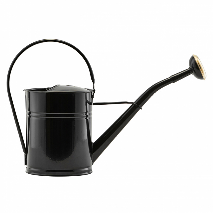 Gießkanne - Schwarz