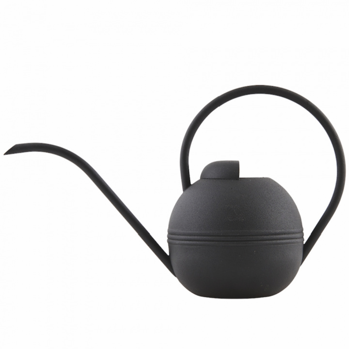 Gießkanne - Pflanze