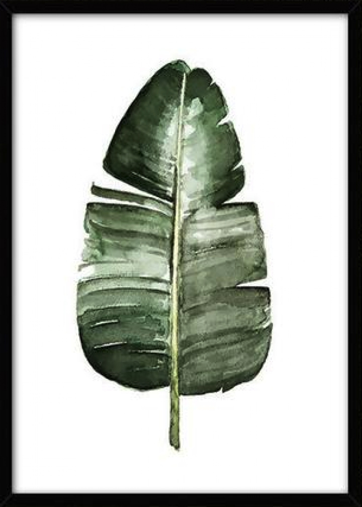 Leinwand Poster S - Tropische Pflanze 4
