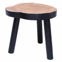Couchtisch \'Baum\' - Schwarz S.