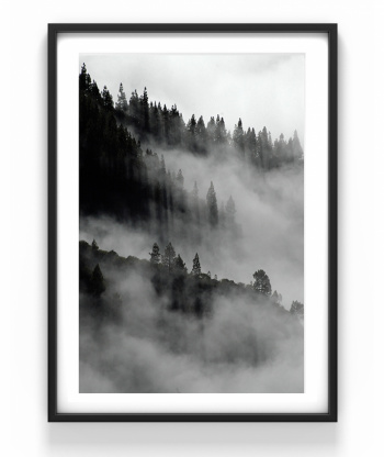 Plakat - Landschaft im Nebel