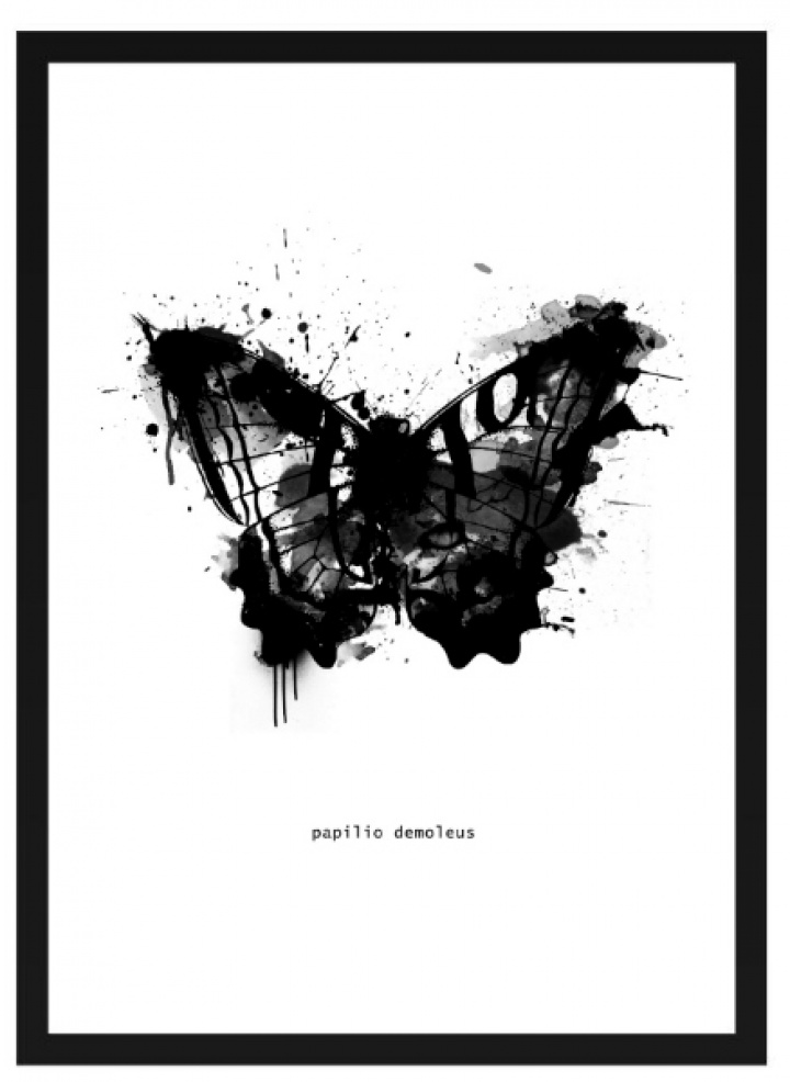 Plakat - Schmetterlingsgrafik